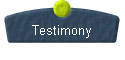  Testimony 